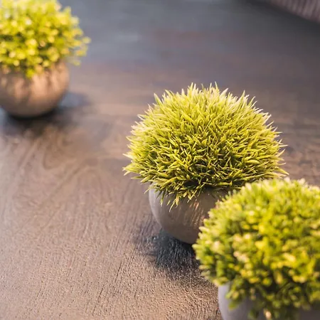 Westside Flat - 5min To Downtown